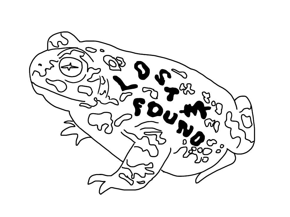 LFV Toad Sticker