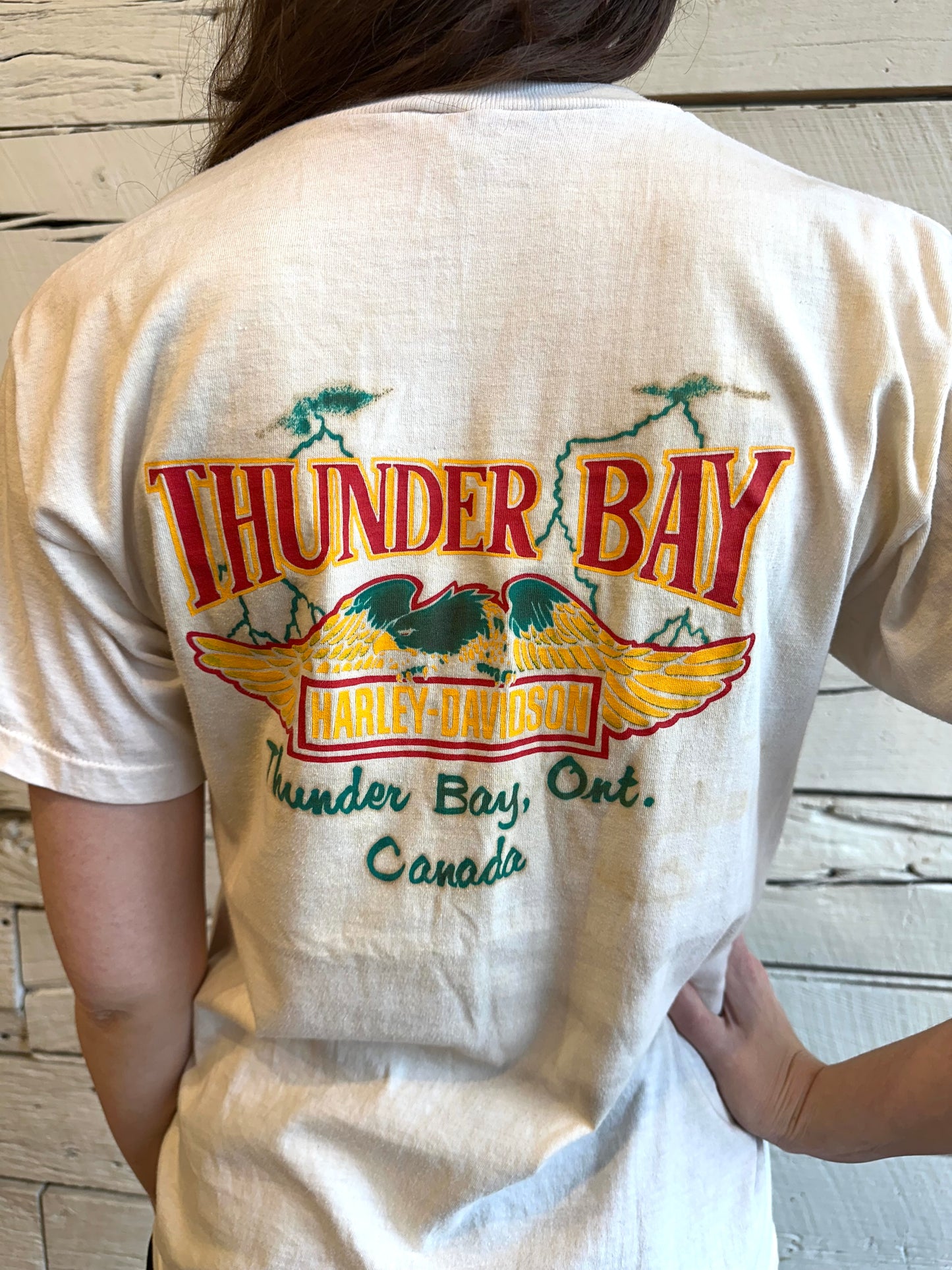 1990s Harley Davidson Thunder Bay t-shirt